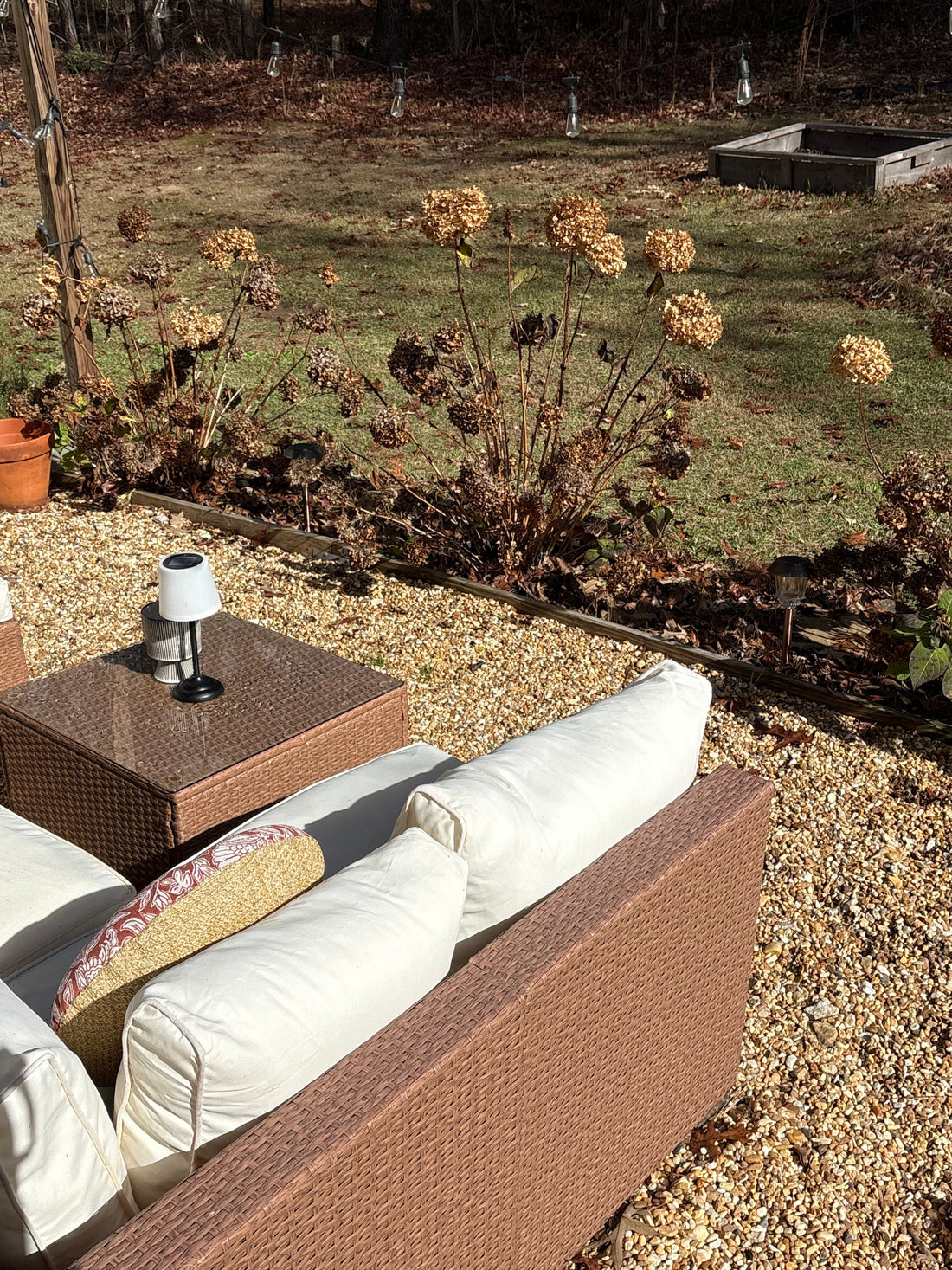 Back Home, Inspired, and Ready to Create Again